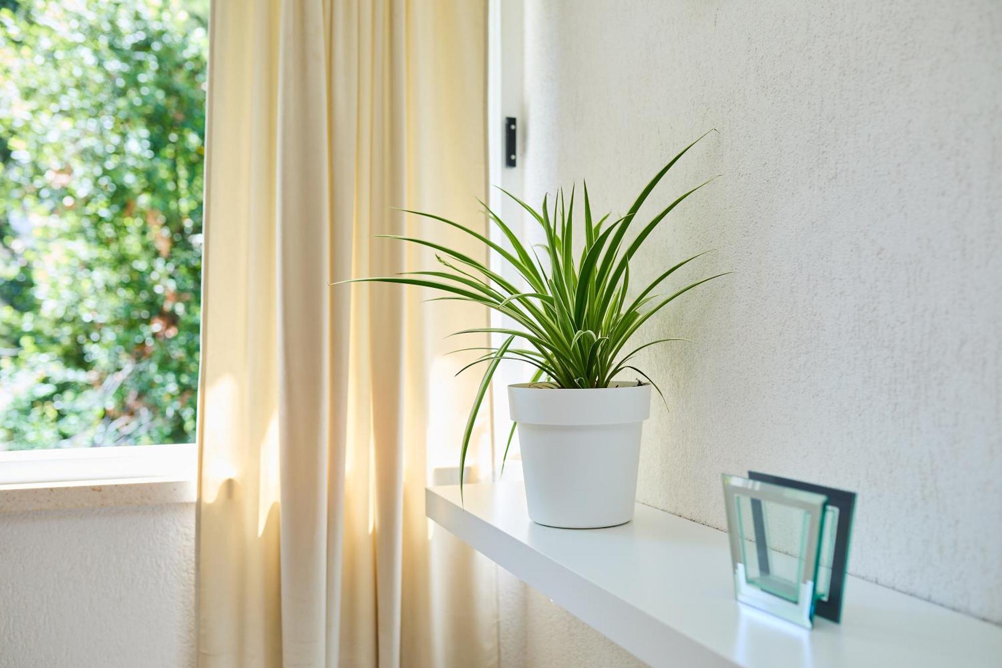 Apartment Promenada- 4Pax With Parking Dubrovnik Eksteriør billede